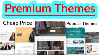 Read more about the article WordPress Best Premium Themes for Website
