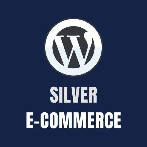 Ecommerce Silver Plan